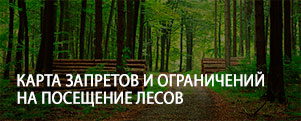 Карта запретов и ограничений на посещение лесов в районах Республики Беларусь