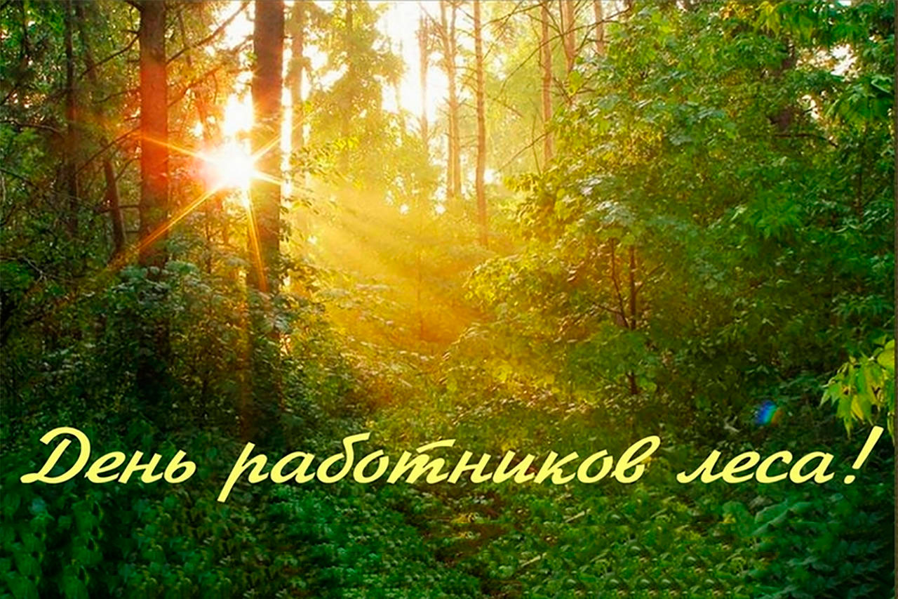 С Днём работников леса!