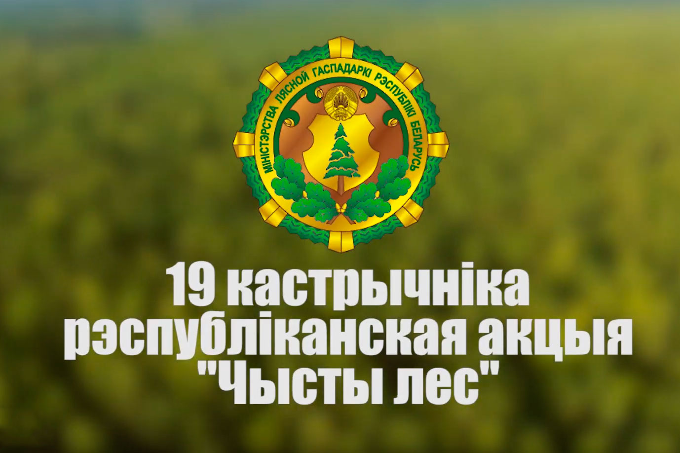 Акция "Чистый лес" - презентационное ВИДЕО