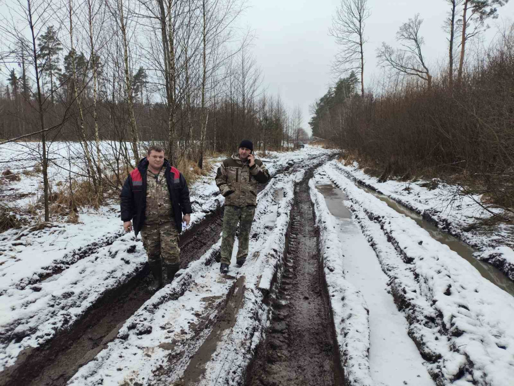 ОБСЛЕДОВАНИЕ РАЗРАБОТАННЫХ  ВЕТРОВАЛЬНО-БУРЕЛОМНЫХ ЛЕСОСЕК НА ПРЕДМЕТ УТОЧНЕНИЯ СПОСОБОВ ИХ ЛЕСОВОССТАНОВЛЕНИЯ 