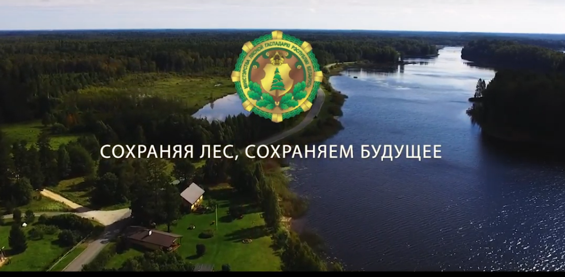"Хранители леса" - смотрите новый фильм Министерства лесного хозяйства! (ВИДЕО)