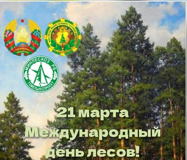 С Международным днем лесов!