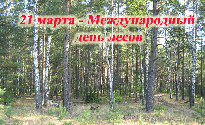 21 МАРТА ВО ВСЕМ МИРЕ ОТМЕЧАЕТСЯ МЕЖДУНАРОДНЫЙ ДЕНЬ ЛЕСОВ, ИЛИ ВСЕМИРНЫЙ ДЕНЬ ЗАЩИТЫ ЛЕСОВ.