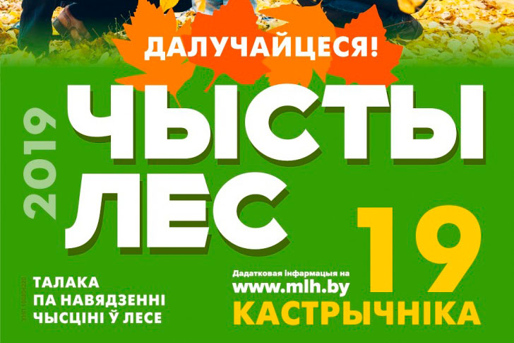 Акция «Чистый лес» пройдет в Беларуси 19 октября