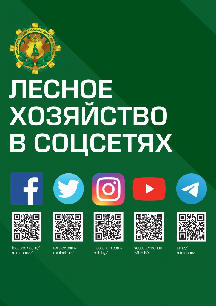 МИНИСТЕРСТВО ЛЕСНОГО ХОЗЯЙСТВА РЕСПУБЛИКИ БЕЛАРУСЬ ПРИГЛАШАЕТ В СВОИ АККАУНТЫ В СОЦИАЛЬНЫХ СЕТЯХ И МЕССЕНДЖЕРАХ 