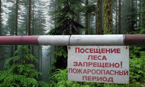 ЗАПРЕТ НА ПОСЕЩЕНИЕ ЛЕСОВ ВВЕДЕН В ГОМЕЛЬСКОЙ ОБЛАСТИ