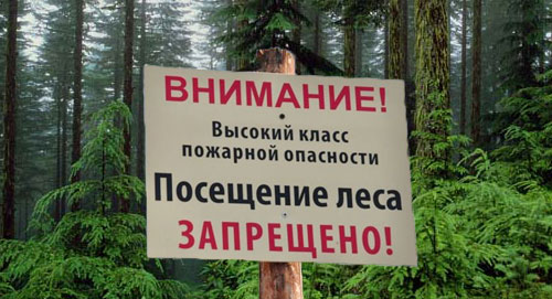 ЗАПРЕТ НА ПОСЕЩЕНИЕ ЛЕСОВ ВВЕДЕН В 9 РАЙОНАХ БЕЛАРУСИ