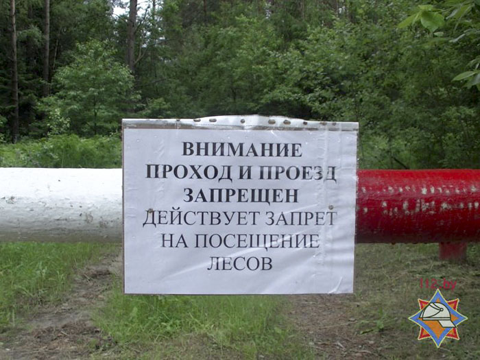 ЗАПРЕТ НА ПОСЕЩЕНИЕ ЛЕСОВ ВВЕДЕН ВО ВСЕХ РЕГИОНАХ СТРАНЫ