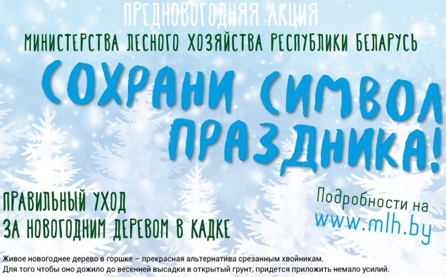Акция "Сохрани символ праздника!"