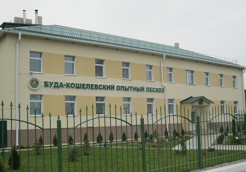 Проведена плановая проверка соблюдения работниками требований охраны труда при проведении полевых (лесоинвентаризационных) лесоустроительных работ
