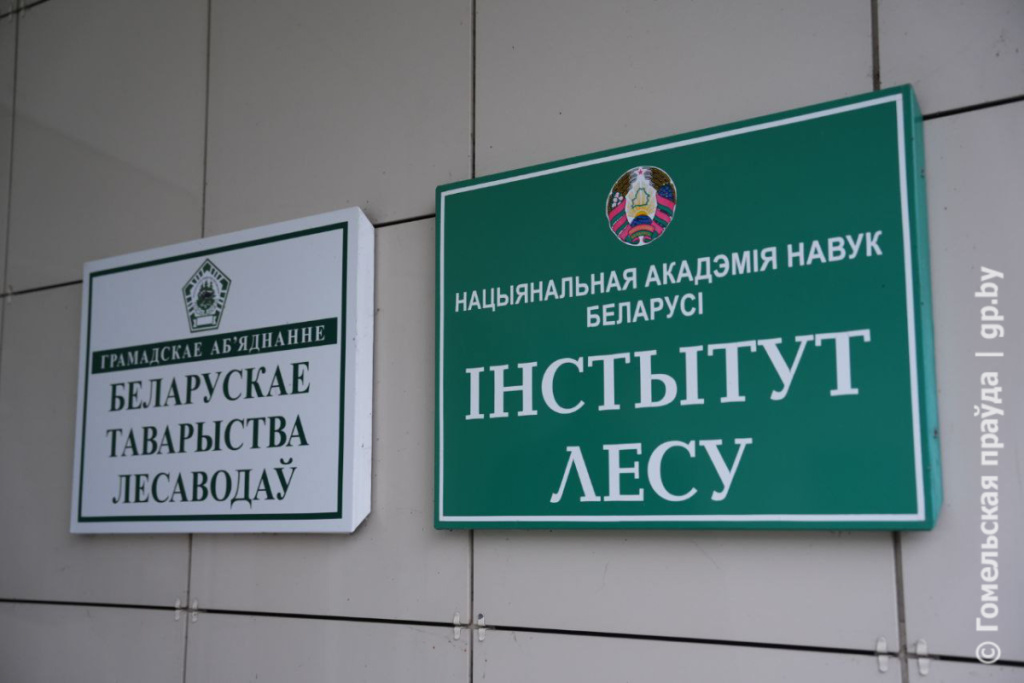 Институт леса НАН Беларуси празднует 95-летие