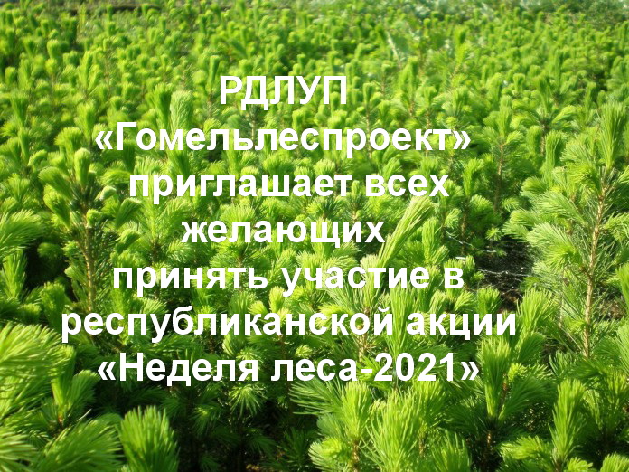 АКЦИЯ «НЕДЕЛЯ ЛЕСА-2021»