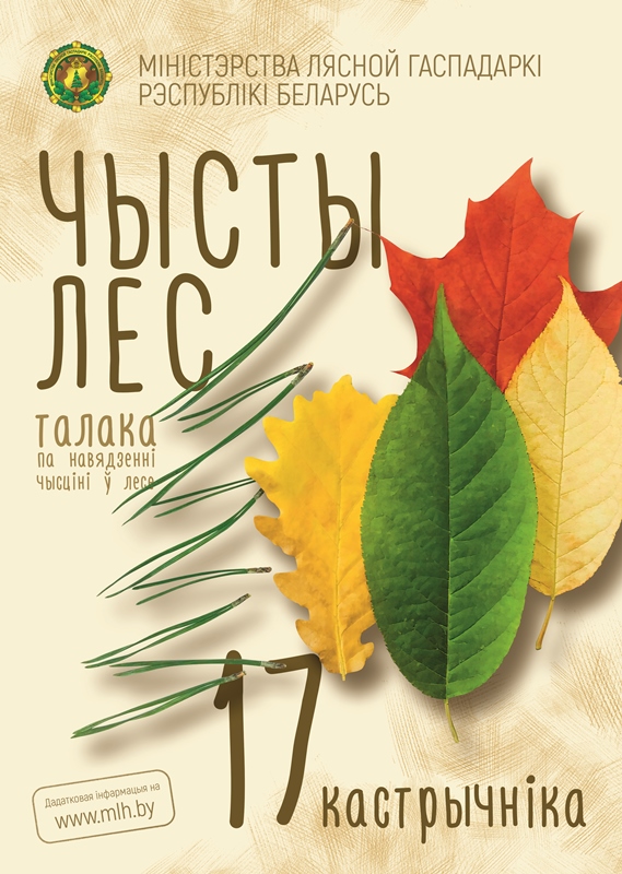 Чистый лес.jpg
