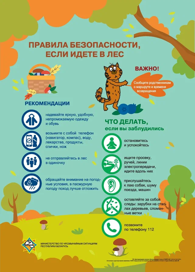 инфографика с котом - 0016.jpg