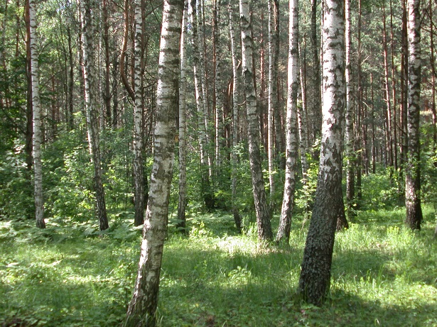 lh7.jpg lh7.jpg