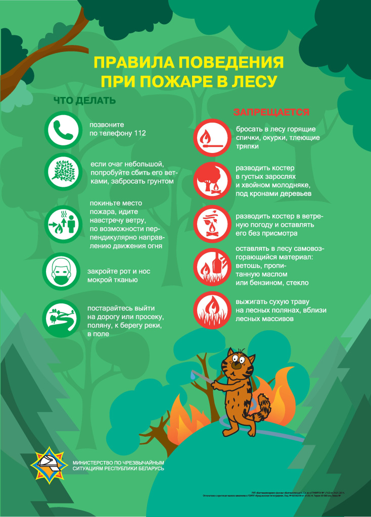 инфографика с котом - 0020.jpg