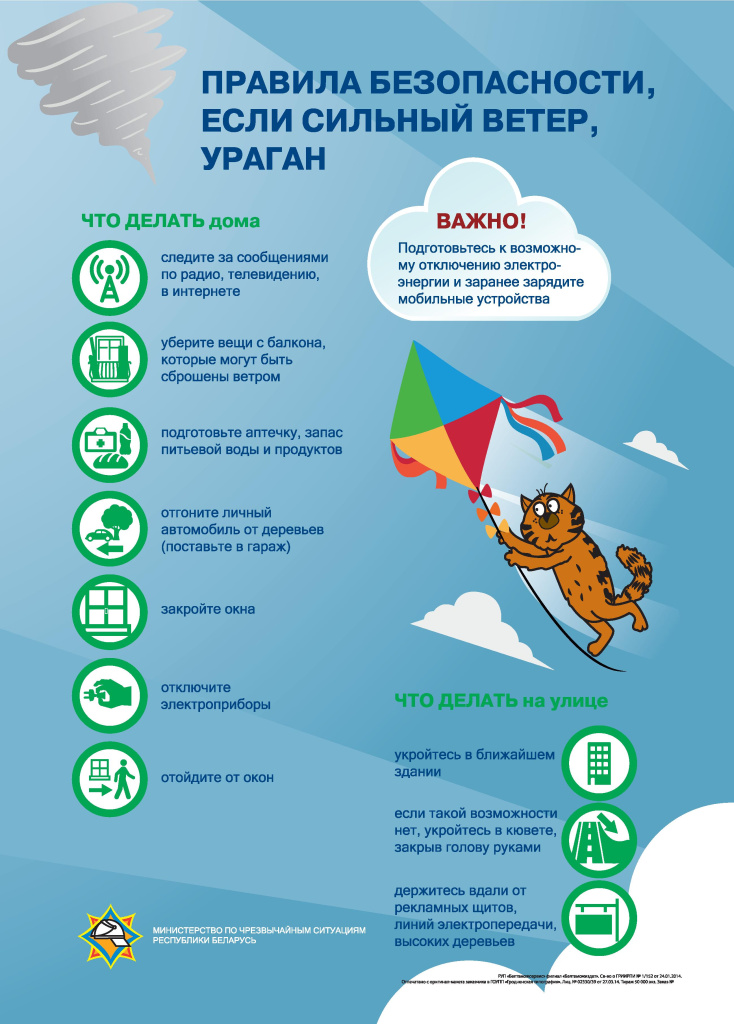 инфографика с котом - 0008.jpg