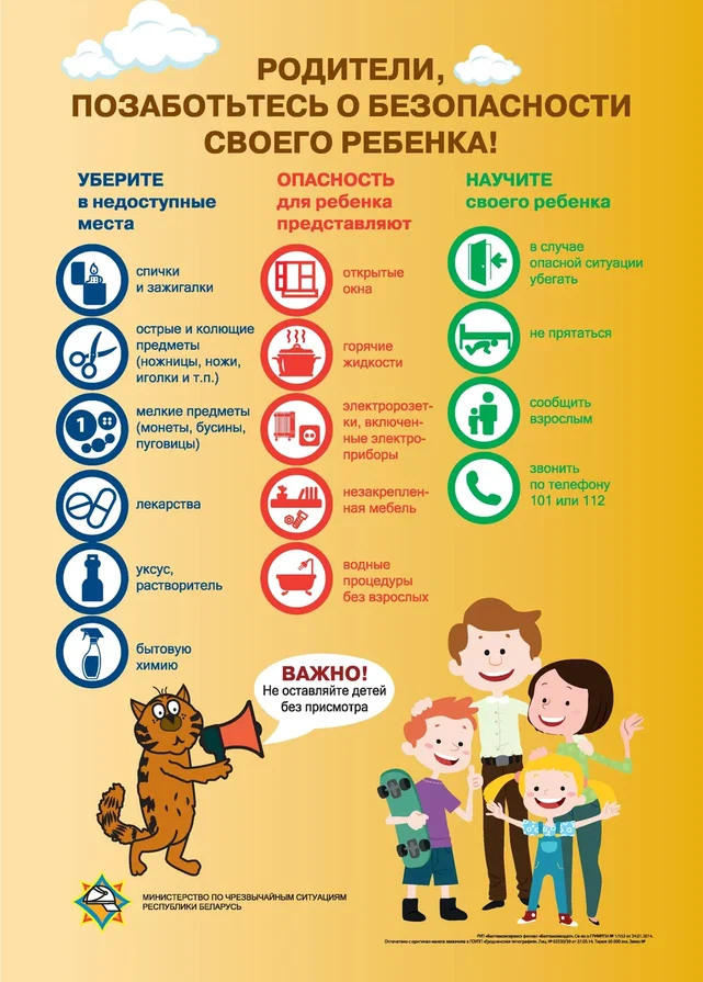 инфографика с котом - 0006.jpg