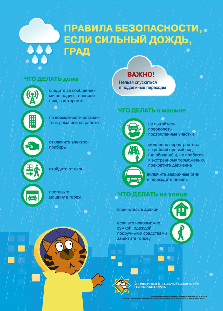 инфографика с котом - 0011.jpg