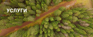 uslugi.jpg