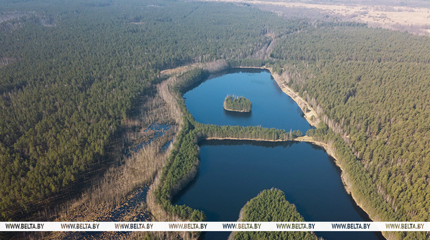000021_1629124271_455508_big.png 000021_1629124271_455508_big.png