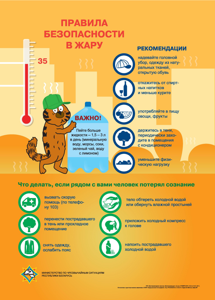 инфографика с котом - 0017.jpg